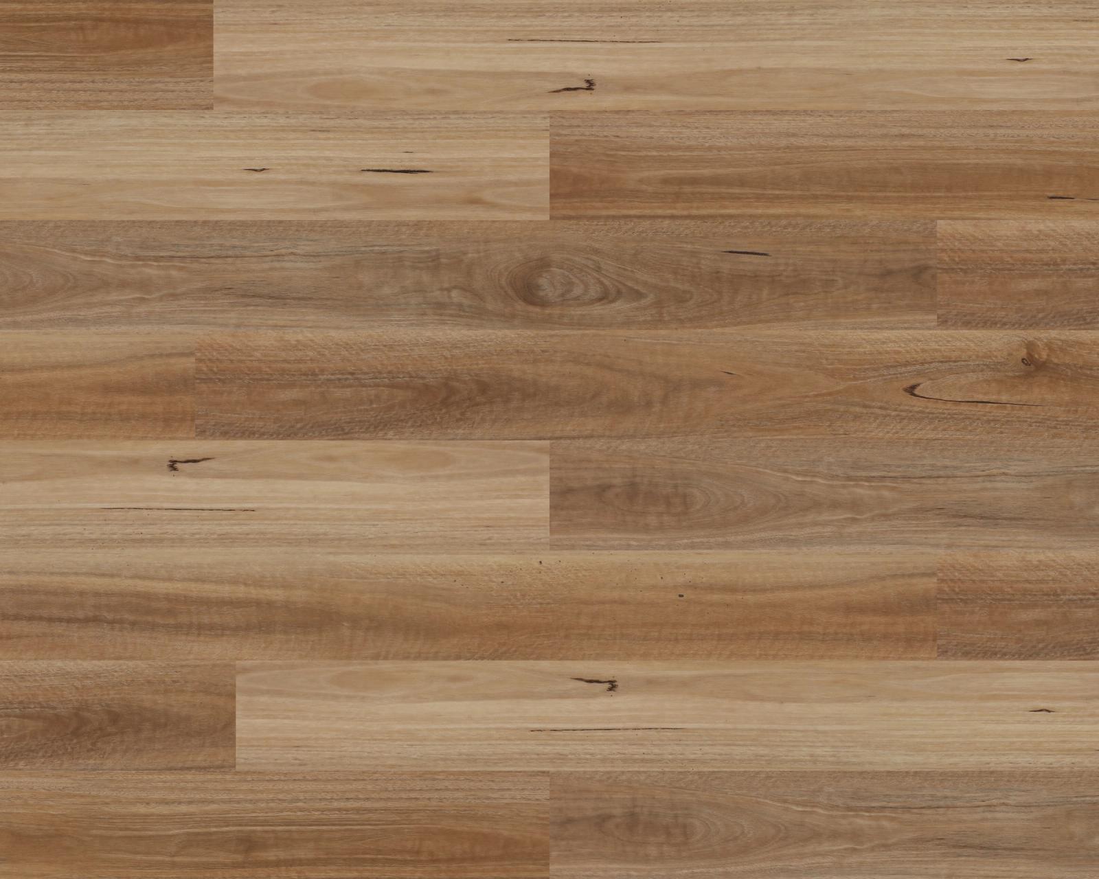 Spotted Gum