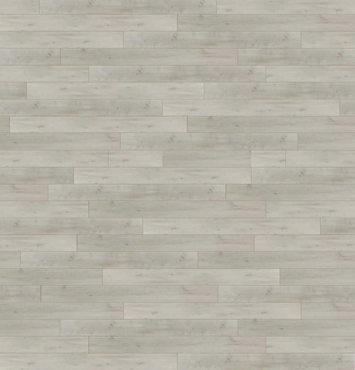 Arctic Oak