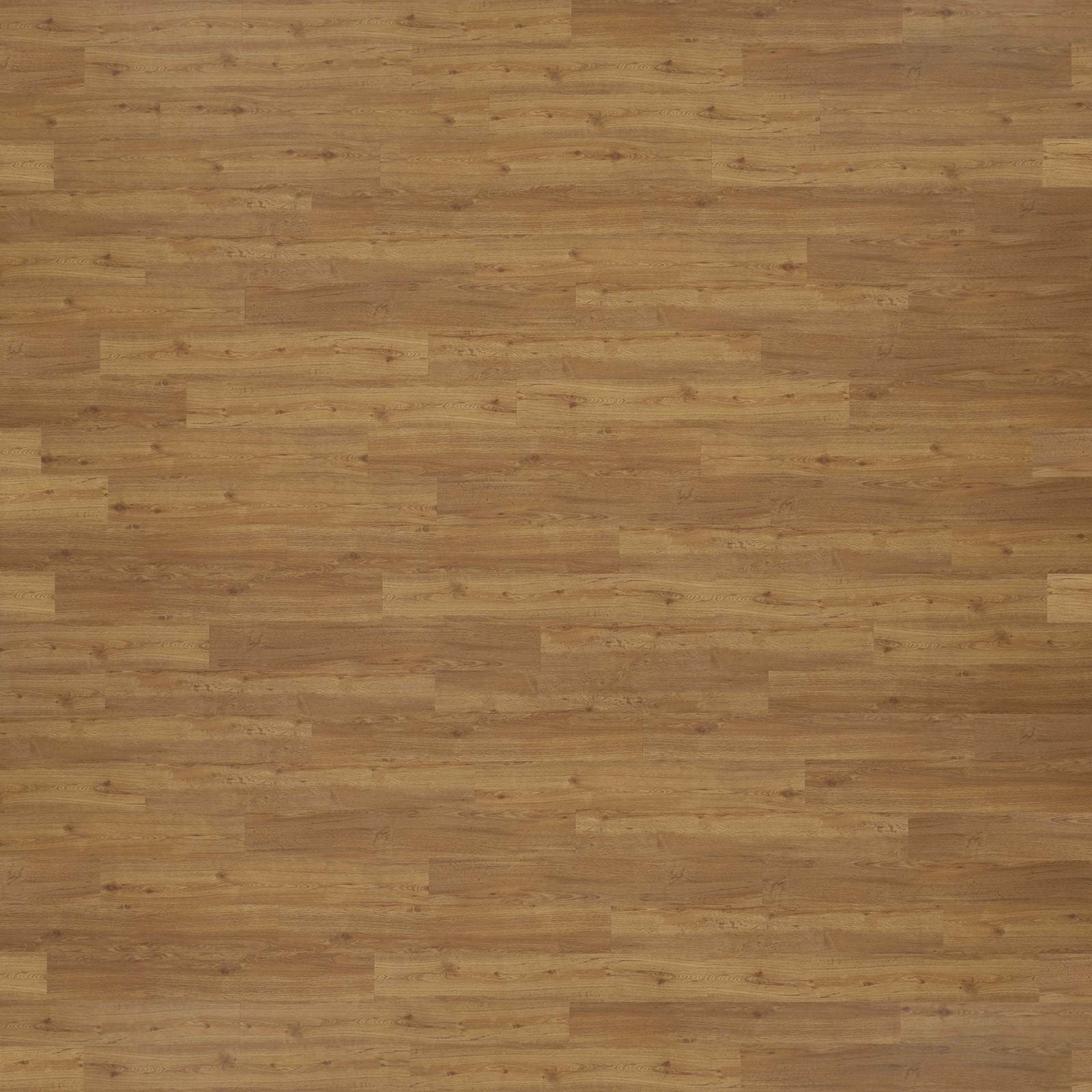 Golden Oak