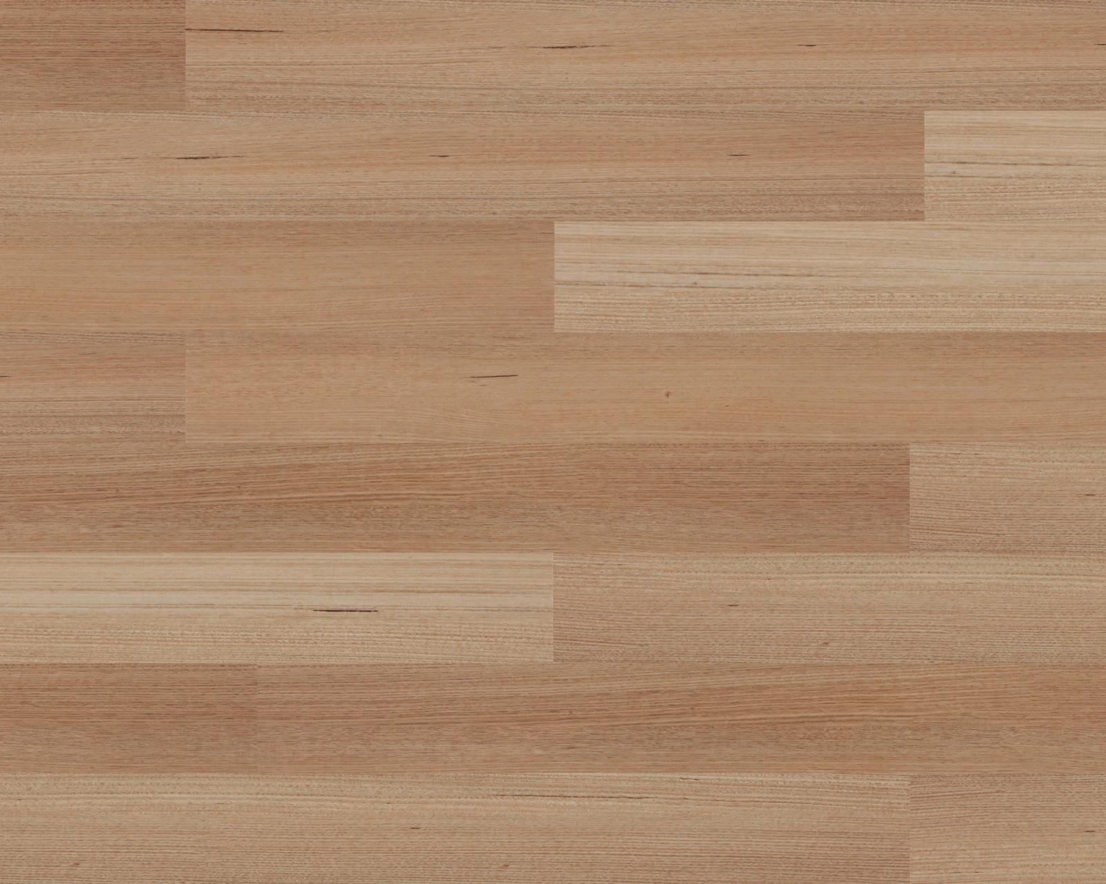 Tasmanian Oak