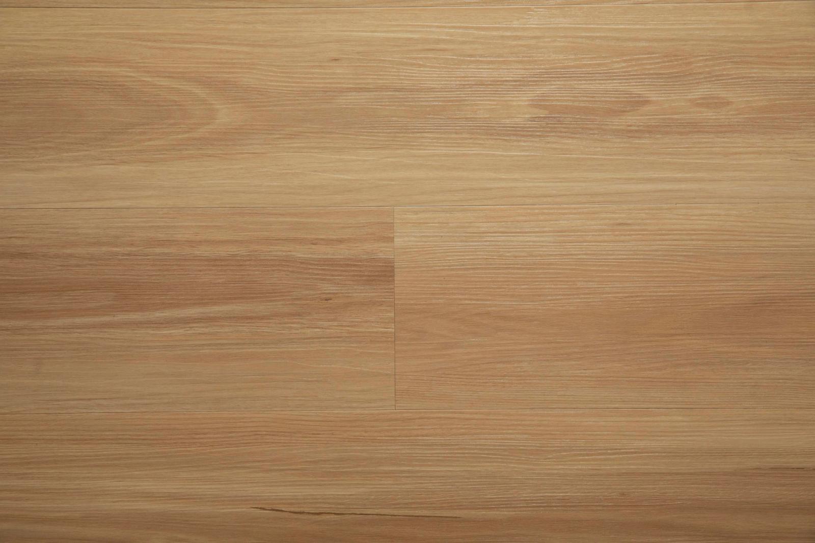 Blackbutt