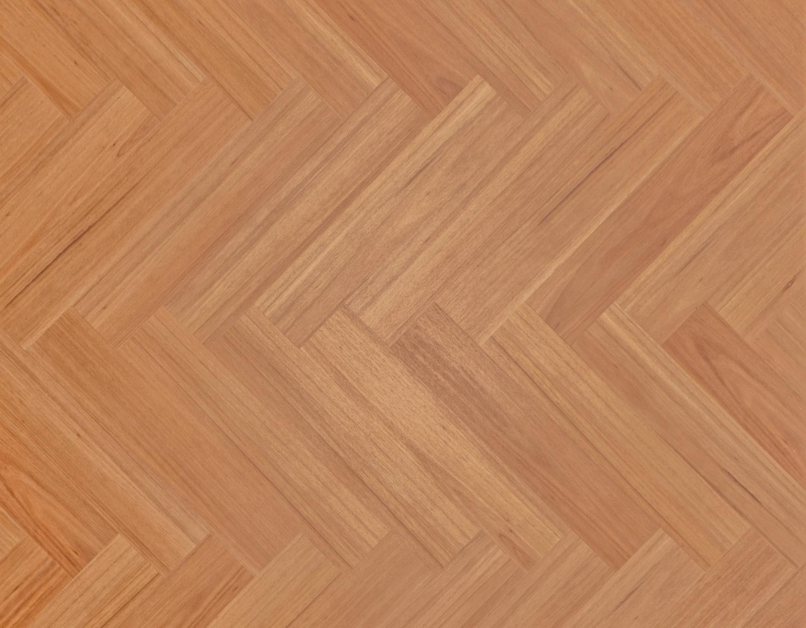Radiant Blackbutt