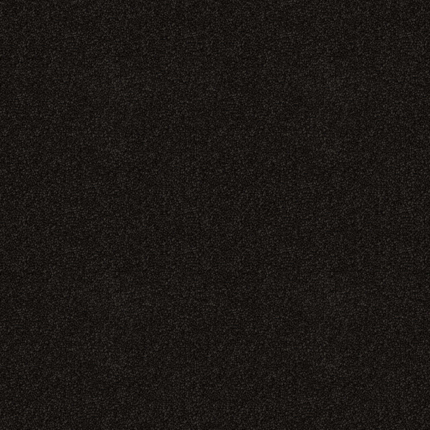Skyway Raven — solution-dyed polyester carpet