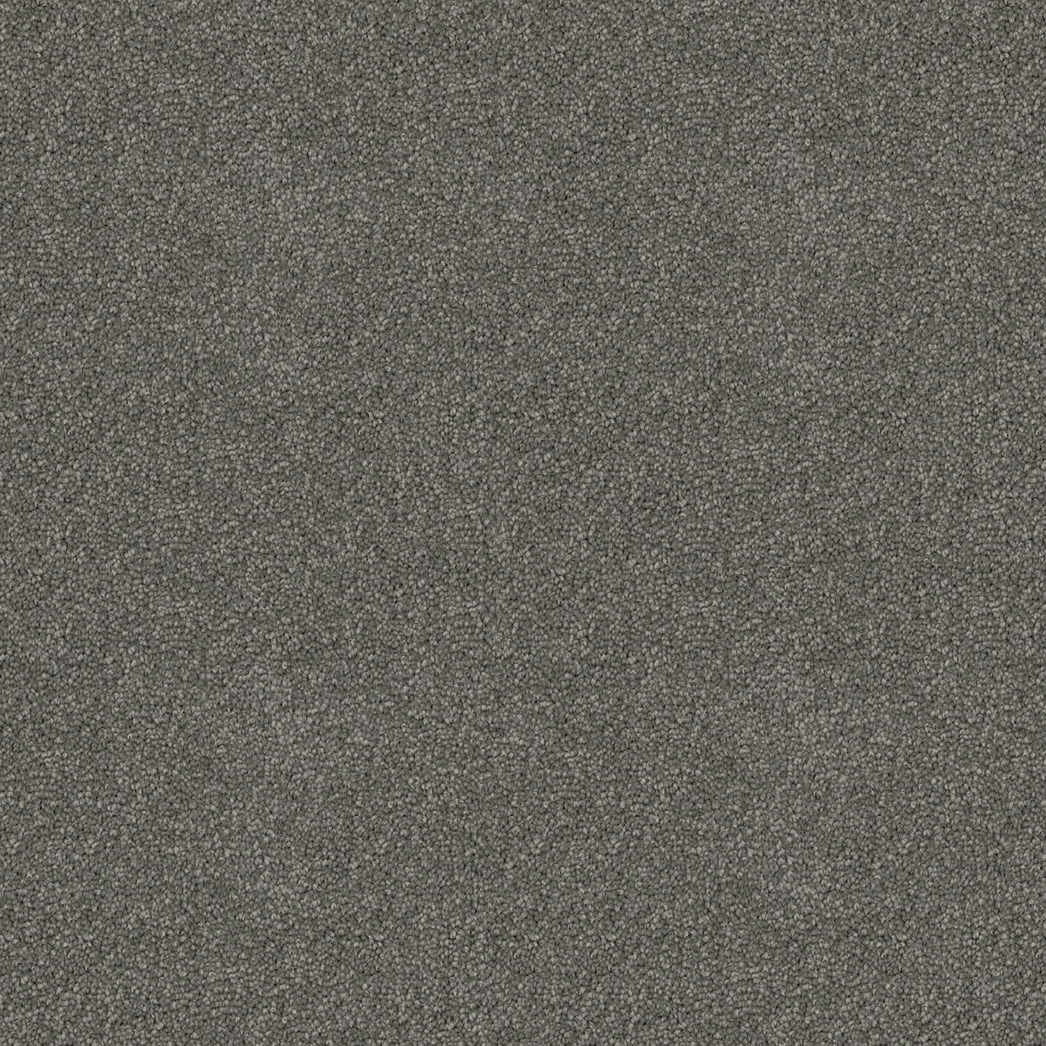 Skyway Grey Sky — solution-dyed polyester carpet
