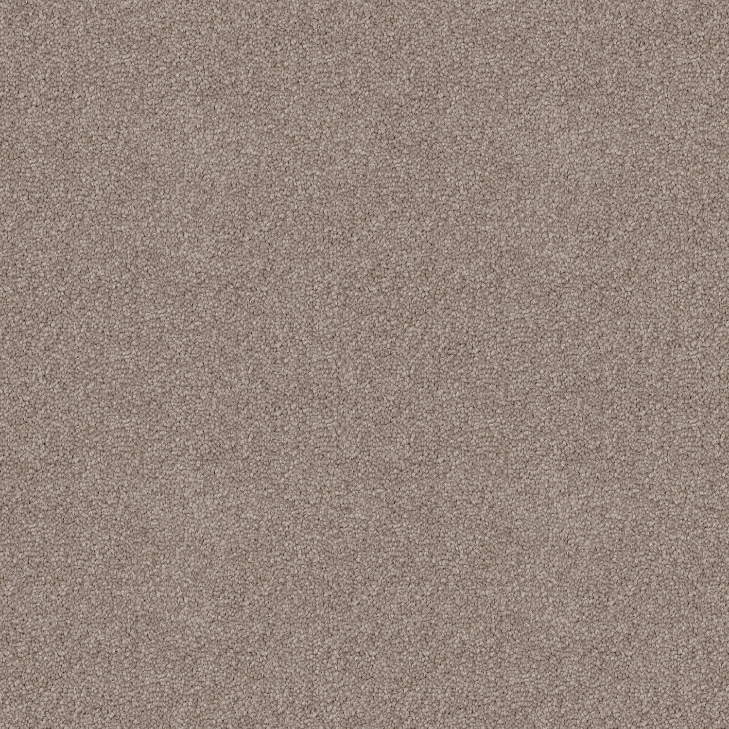 Skyway Desire — solution-dyed polyester carpet