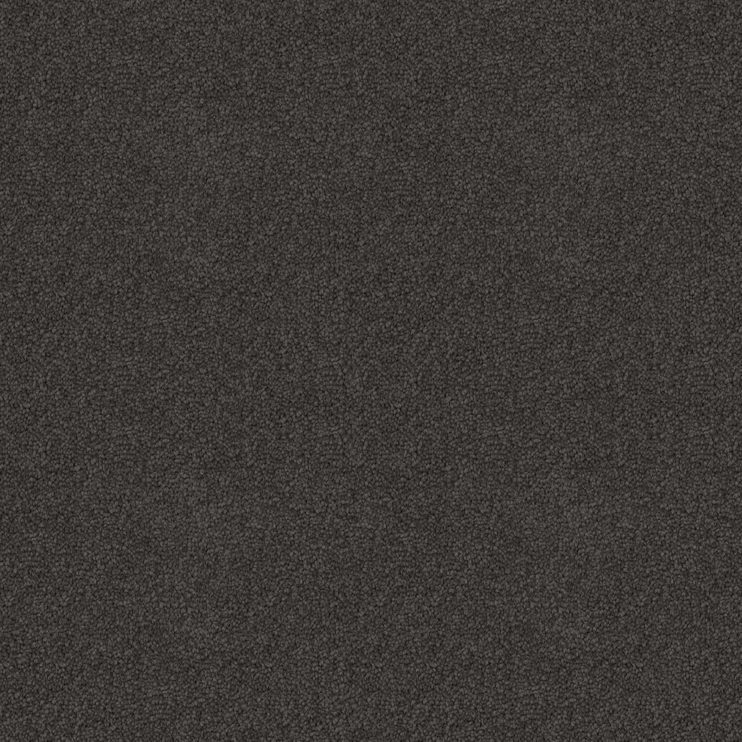 Skyway Graphite — solution-dyed polyester carpet