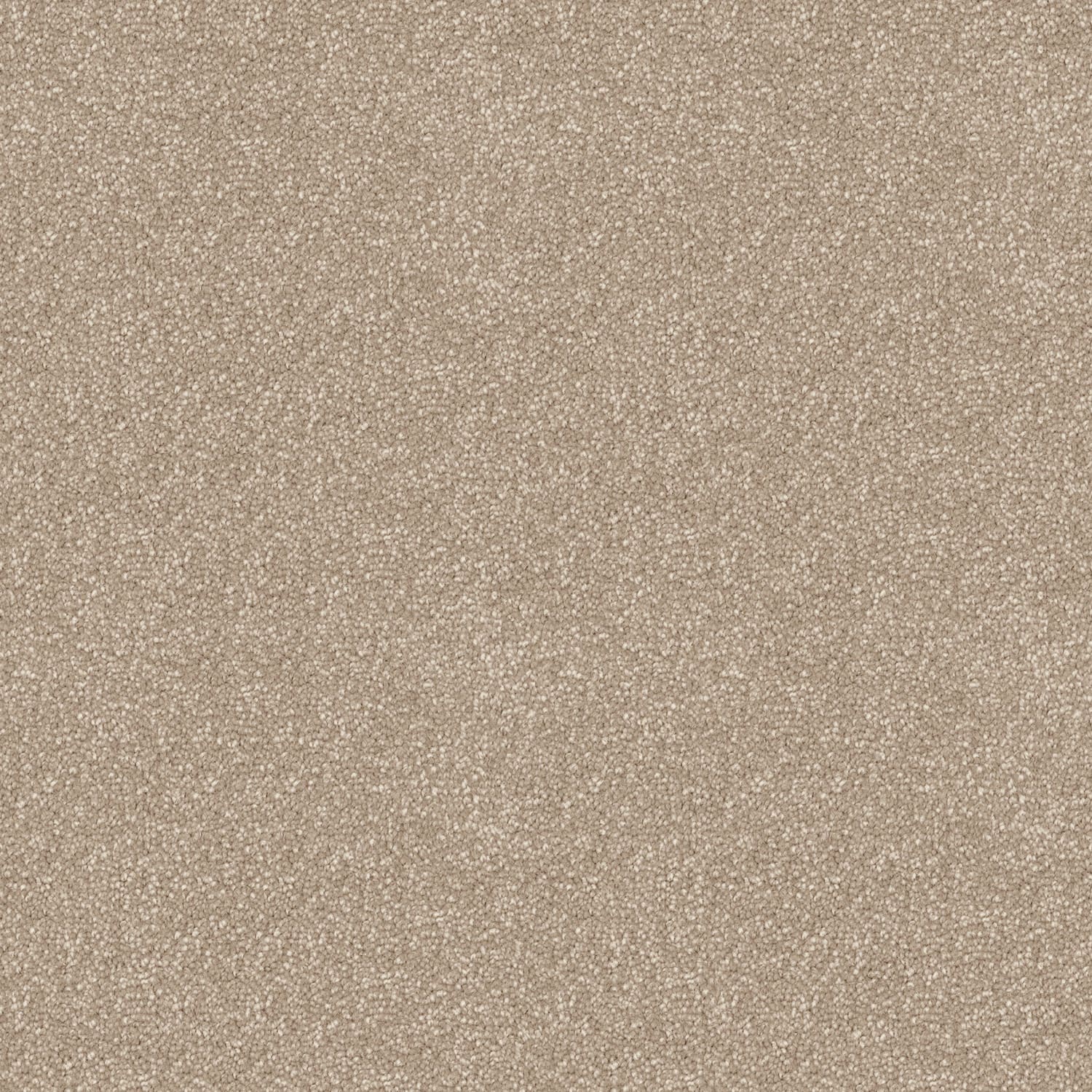 Skyway Dreamy — solution-dyed polyester carpet