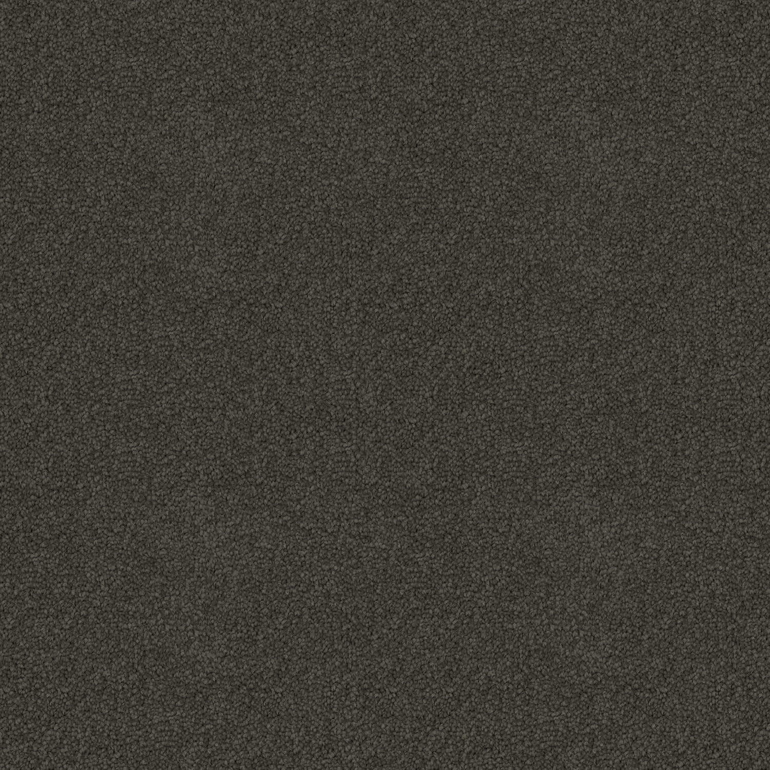 Skyway Shale — solution-dyed polyester carpet