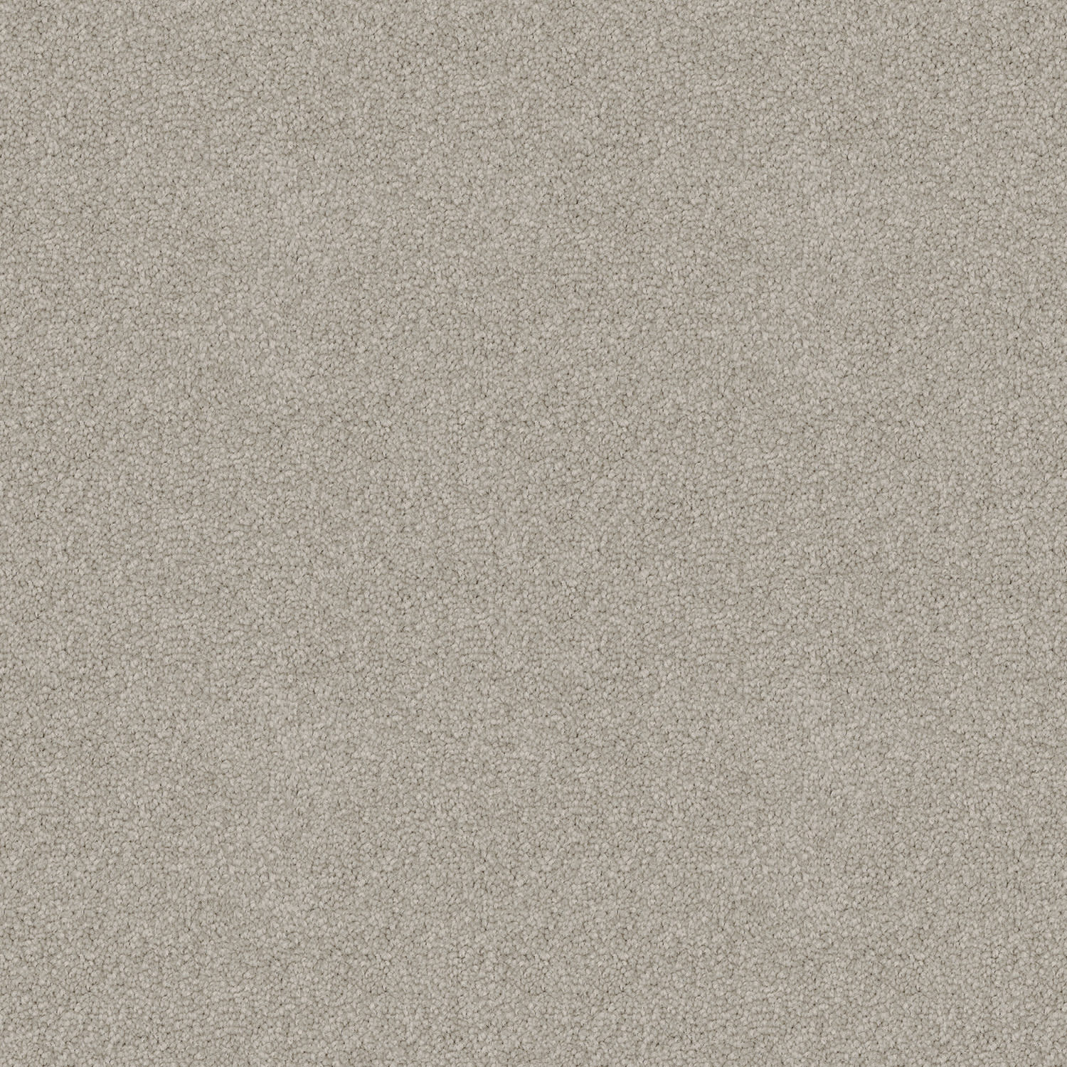 Skyway Basalt — solution-dyed polyester carpet