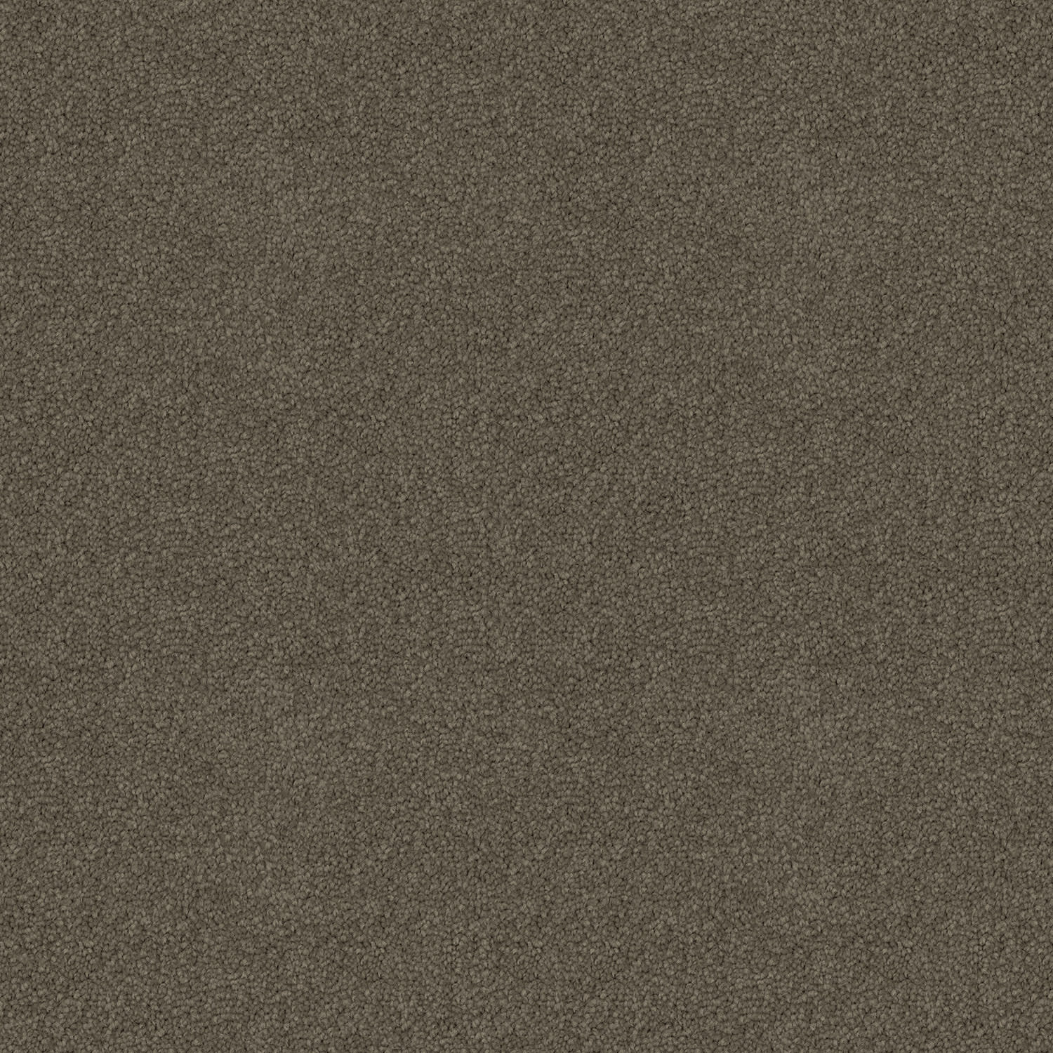 Skyway Sand Storm — solution-dyed polyester carpet