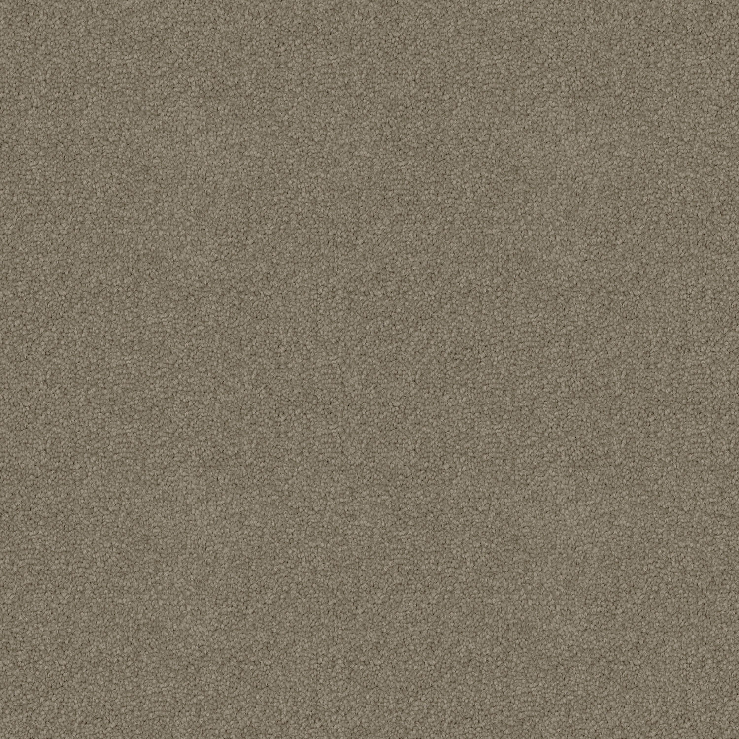 Skyway Oak Bark — solution-dyed polyester carpet