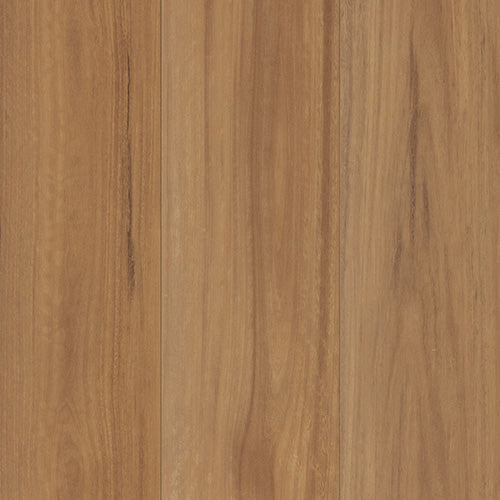 NSW Spotted Gum